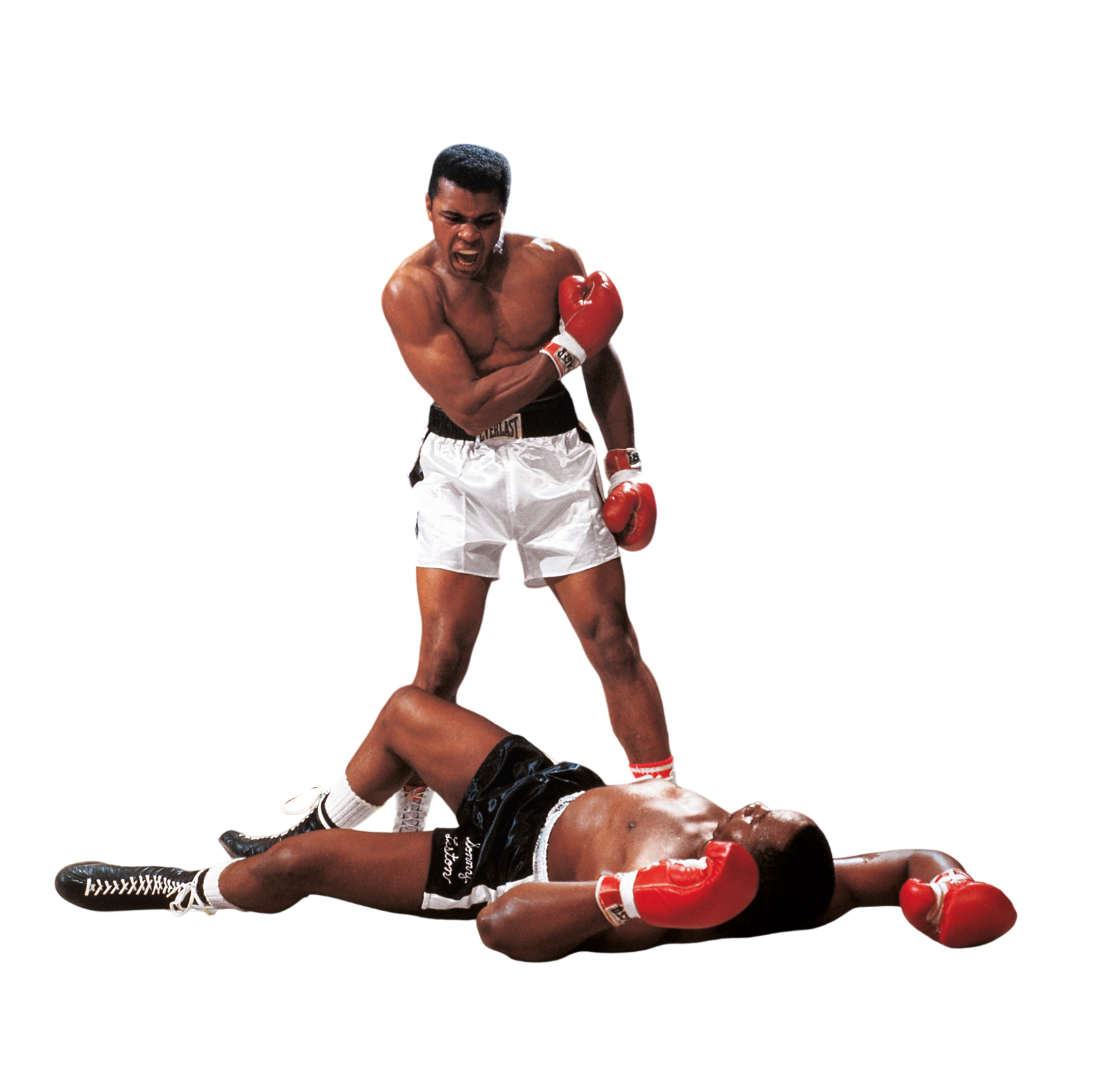Greatest of All Time. A Tribute to Muhammad Ali (English)