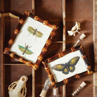Wood Bamboo Photo Frames (Set of 2)