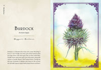 Wild Medicine