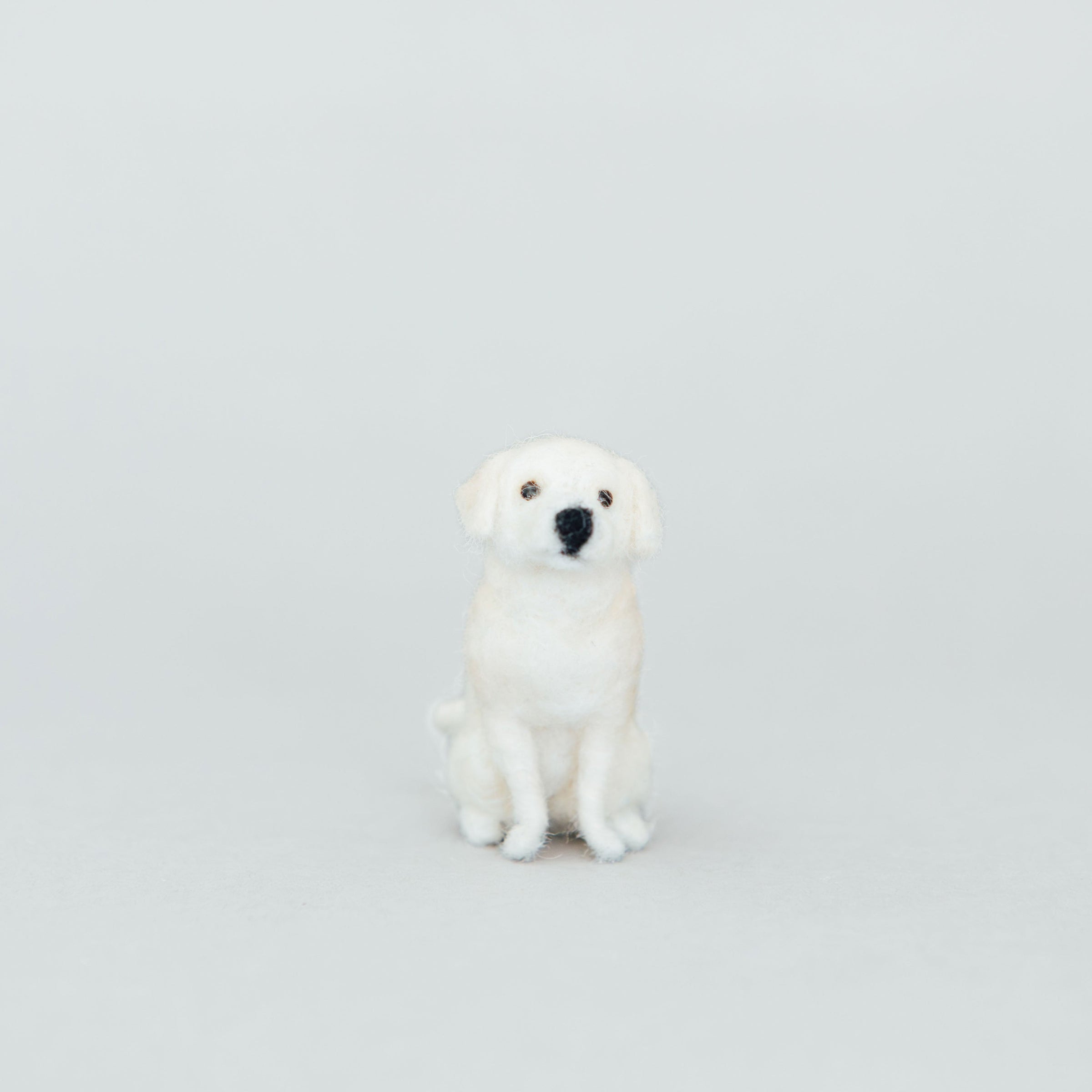 Little Felted Friends: Labrador Retriever