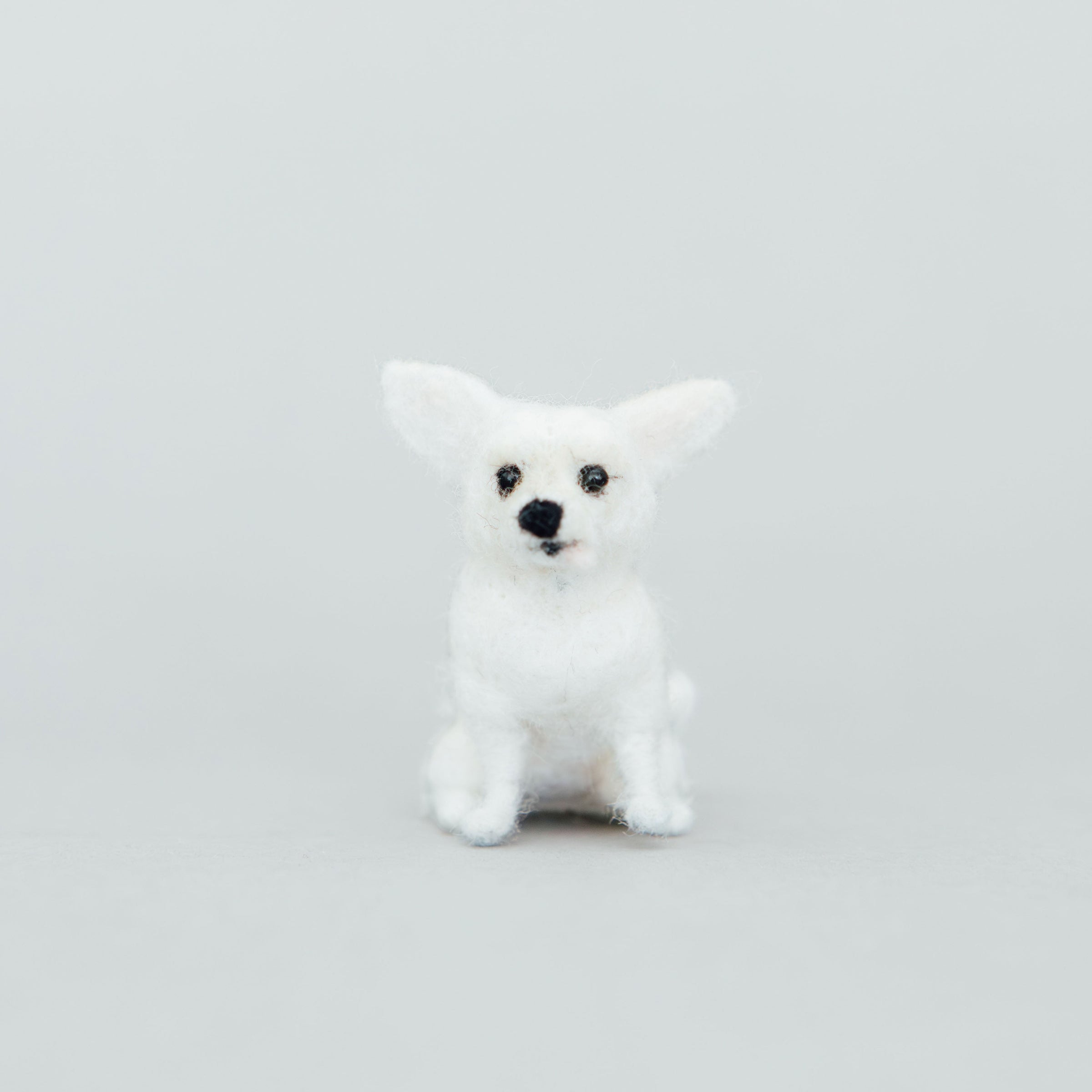 Little Felted Friends: Chihuahua