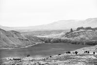 A Ranch Year
