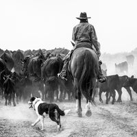 A Ranch Year