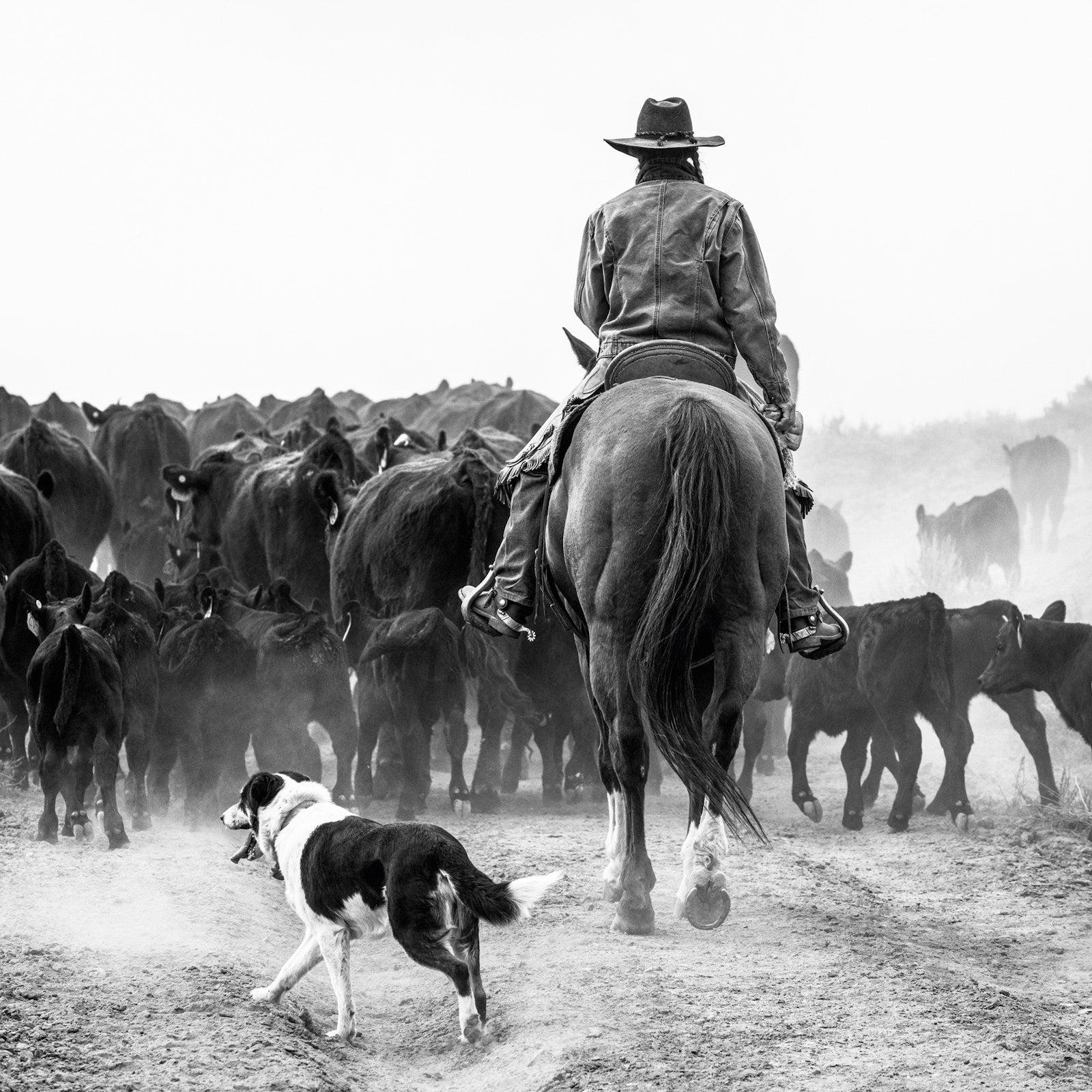 A Ranch Year
