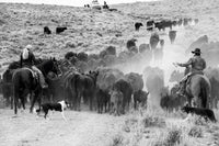 A Ranch Year