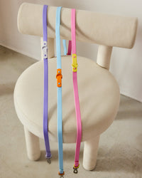 The Fritz Leash