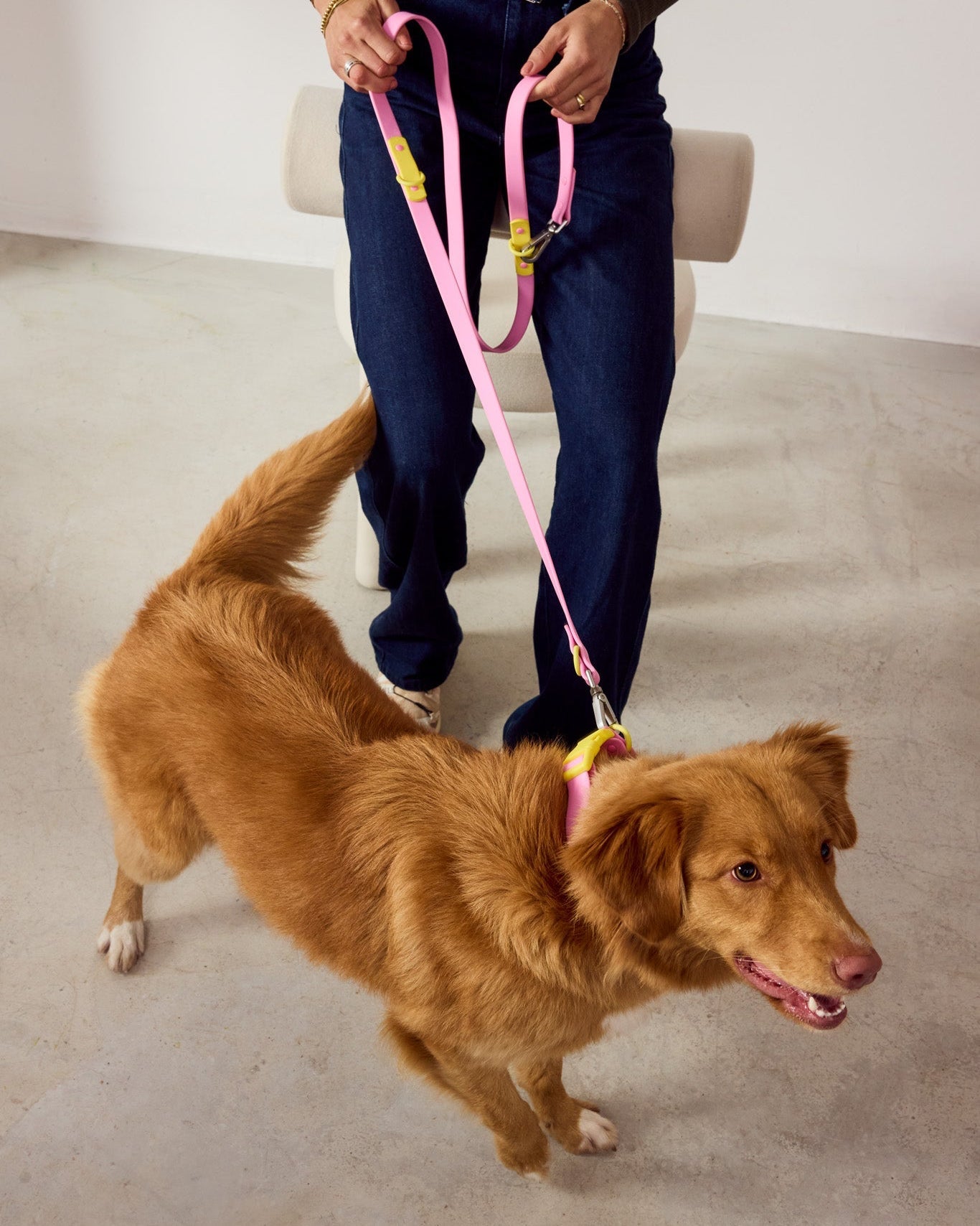 The Fritz Leash
