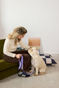 Fritz Collar + Leash Walk Set