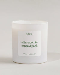 Afternoon In Central Park