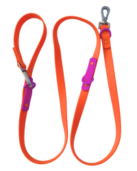 The Fritz Leash