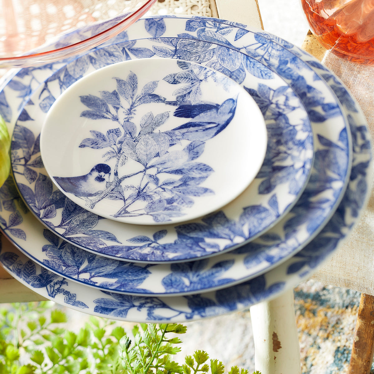 Arbor Rimmed Dinner Plate