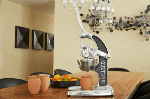 Artisan Citrus Juicer