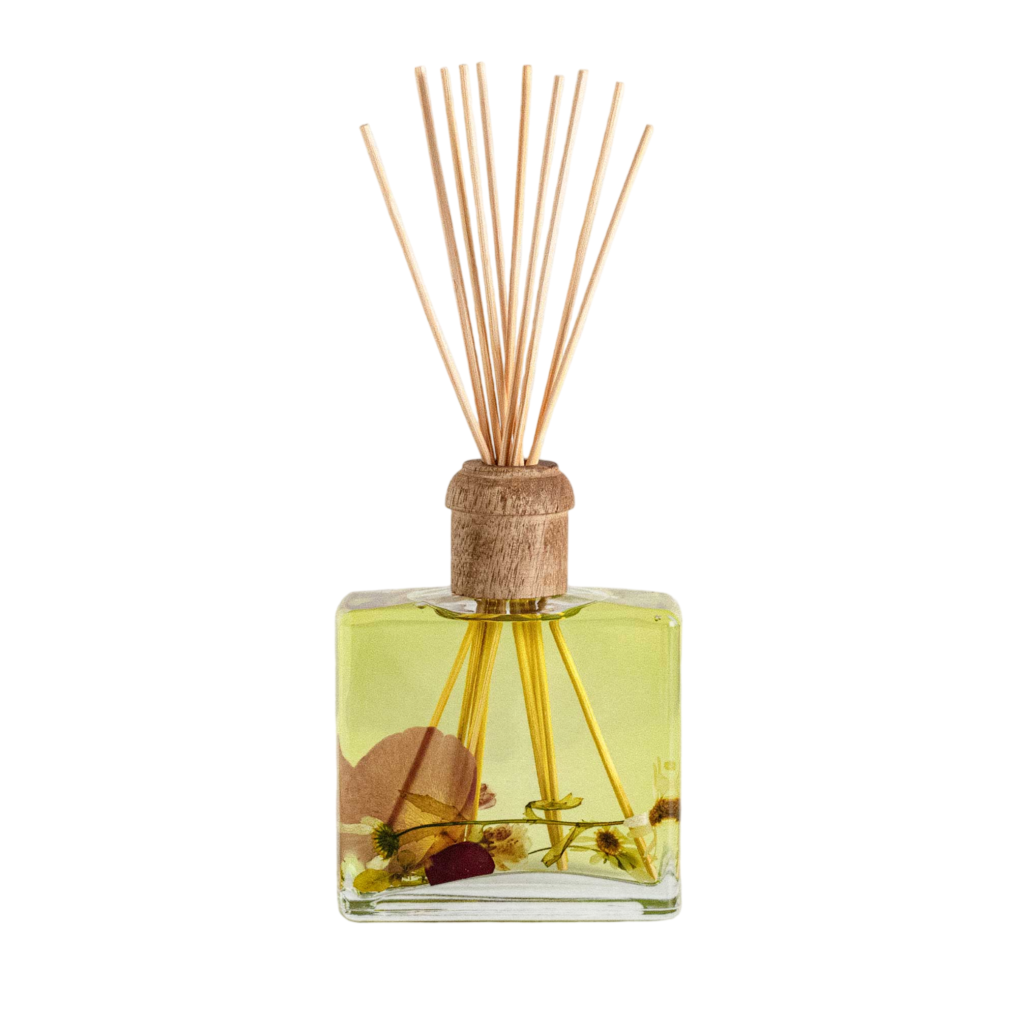 Apricot Rose 13 oz Botanical Diffuser