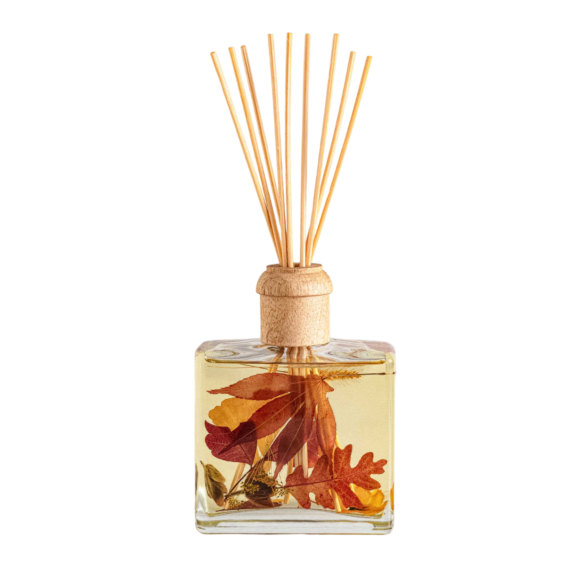 Harvest Pumpkin 13 oz Botanical Reed Diffuser