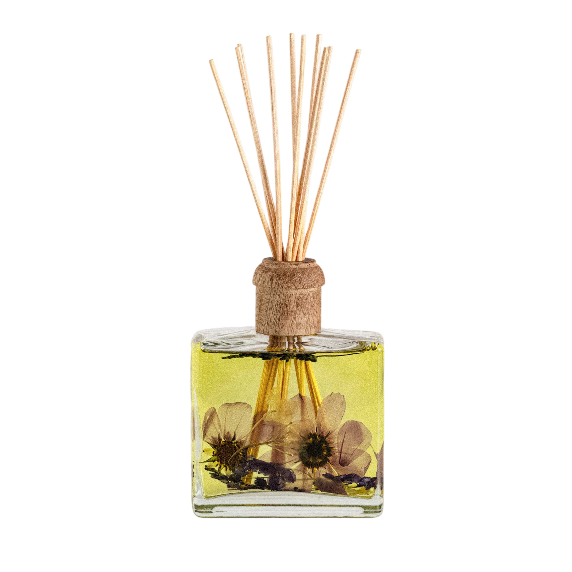 Roman Lavender 13 oz Botanical Diffuser