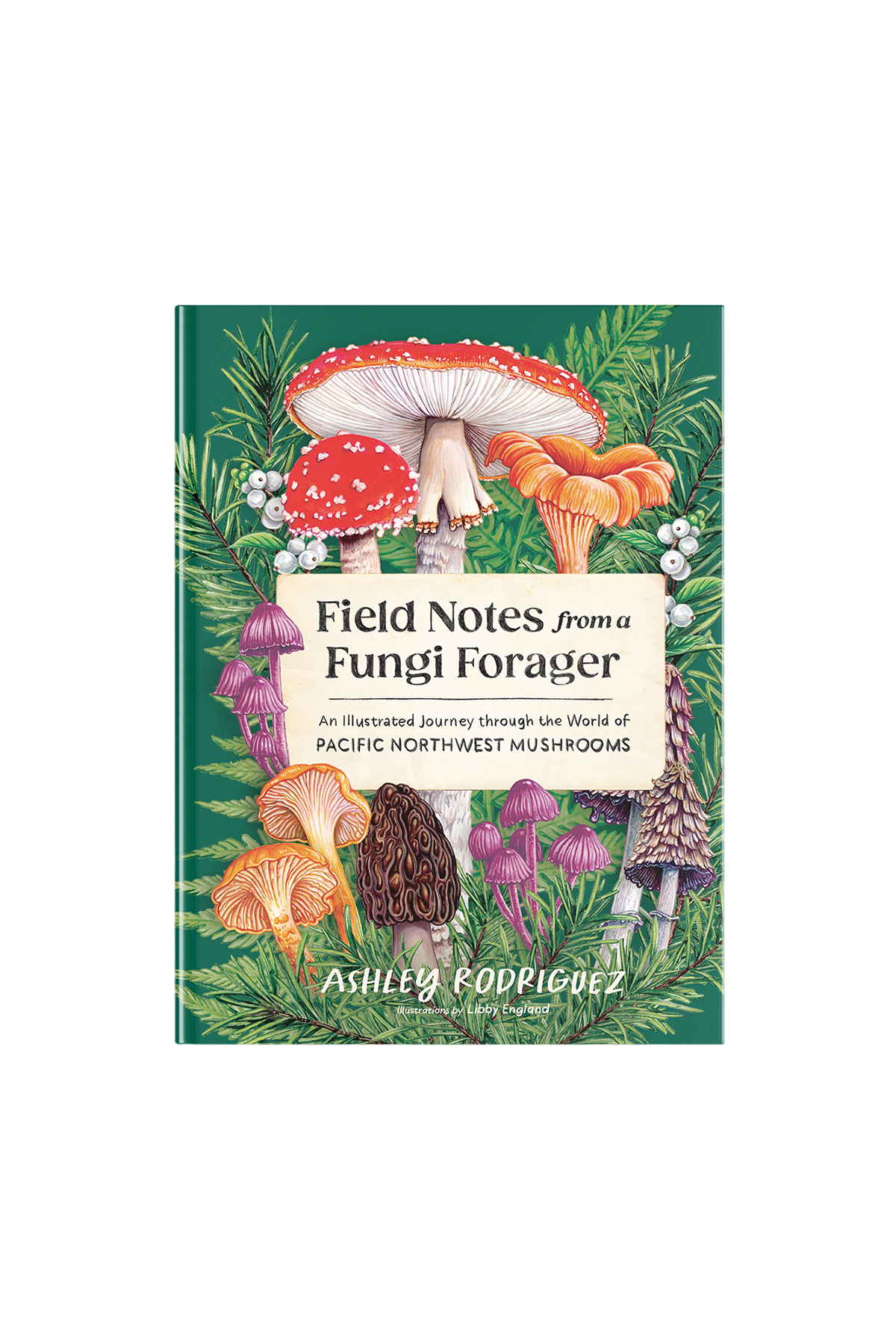 Field Notes From A Fungi Forager