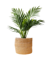 Banana Leaf Planter in Mixed Natural