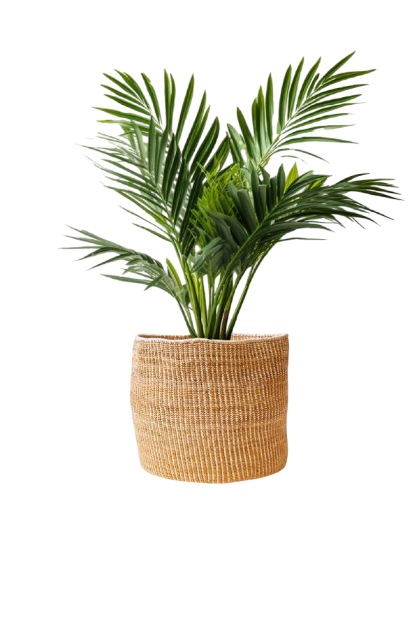 Banana Leaf Planter in Mixed Natural