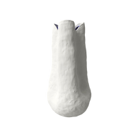Barbara White Porcelain Vase