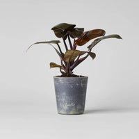 Basic Planter, Grey Patina