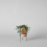 Wrought Iron Planter Stand