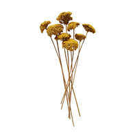 Dried Natural Yarrow