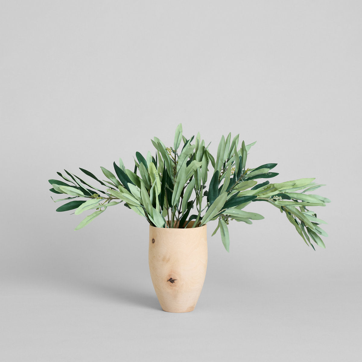 EcoFaux Arbequina Olive Spray