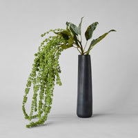 Black Novah Pitcher
