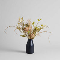 Set of Three Dried Natural Banksia