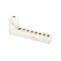 Brillante Menorah