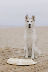 Bubble Bowls & Mat Set For Dogs