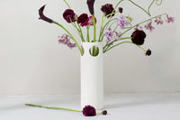 Cenote Vase