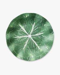 Classic Cabbage Dinner Plate Set of 12 - Kelly Green