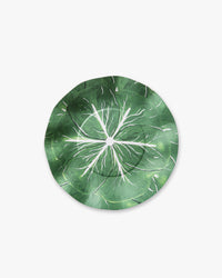 Classic Cabbage Dessert Plate Set - Kelly Green