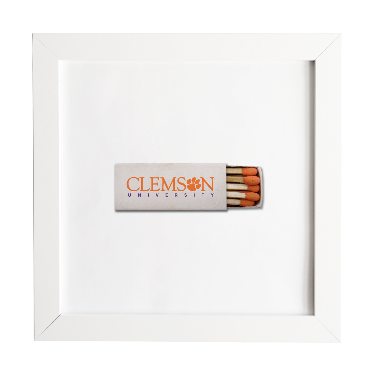 Clemson University Vol. 1