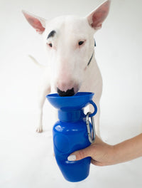22oz Original Dog Travel Water Bottle