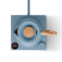 Corvo EKG Electric Kettle