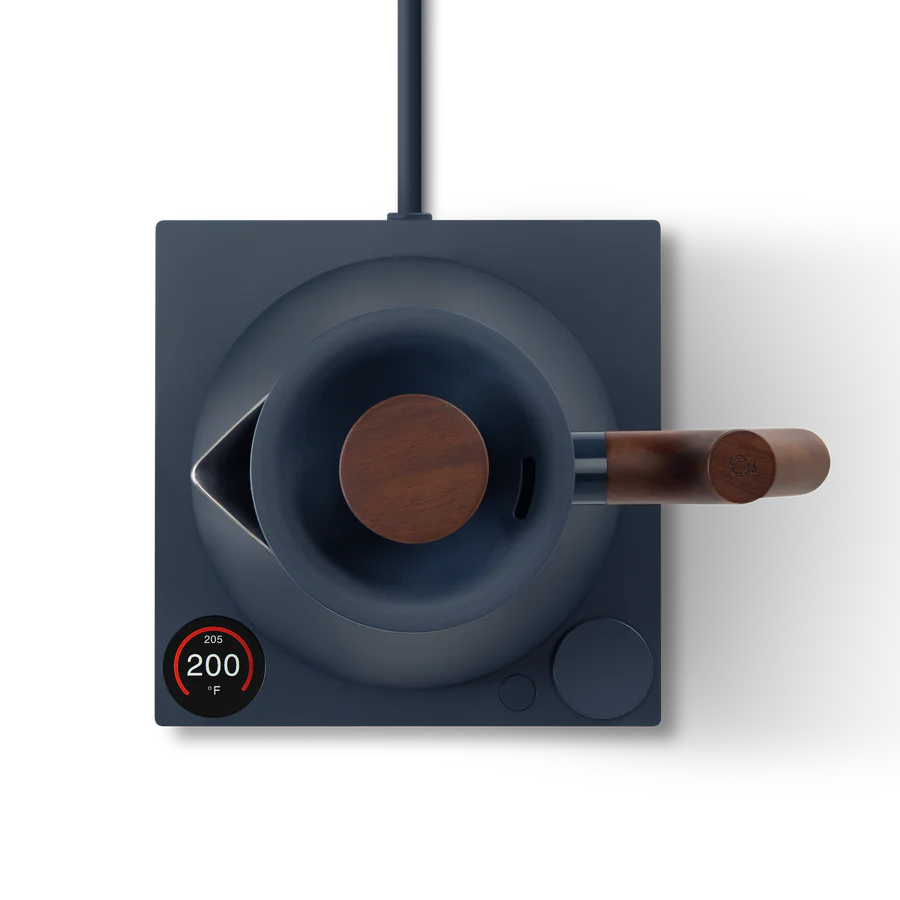 Corvo EKG Electric Kettle