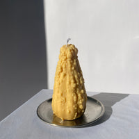 Crookneck Gourd Candle