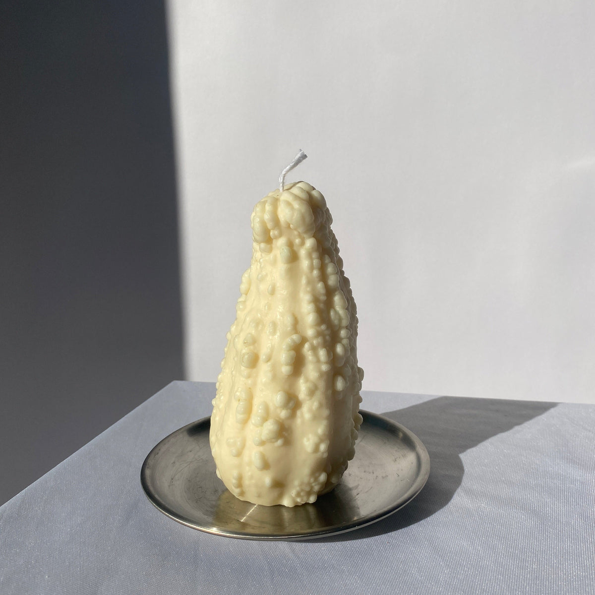 Crookneck Gourd Candle