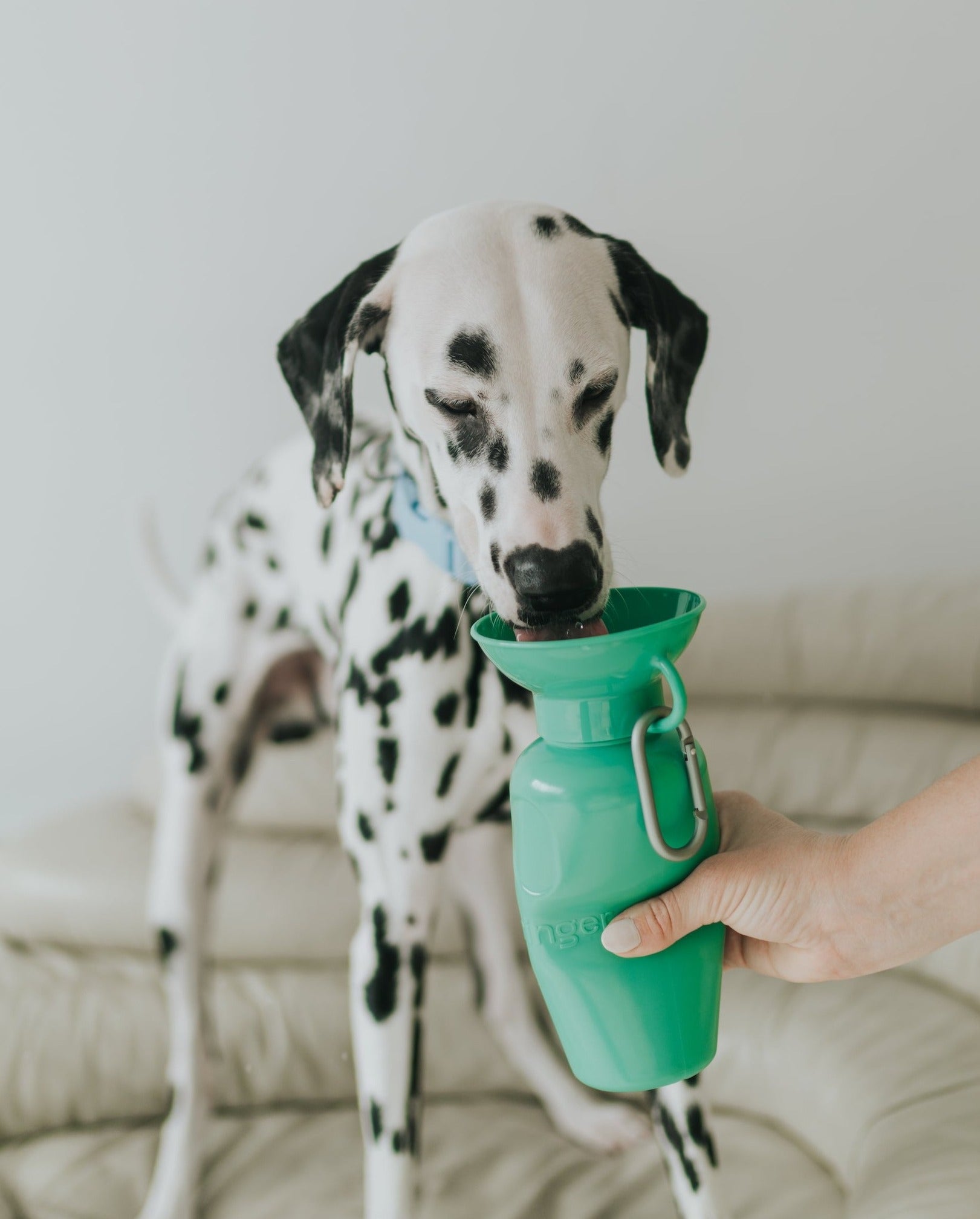 22oz Original Dog Travel Water Bottle