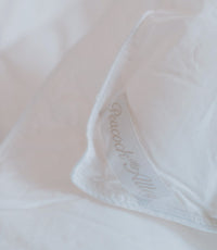 Down Alternative Duvet