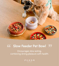 [Wave] Slow Feeder Dog Bowls - Beige / Orange