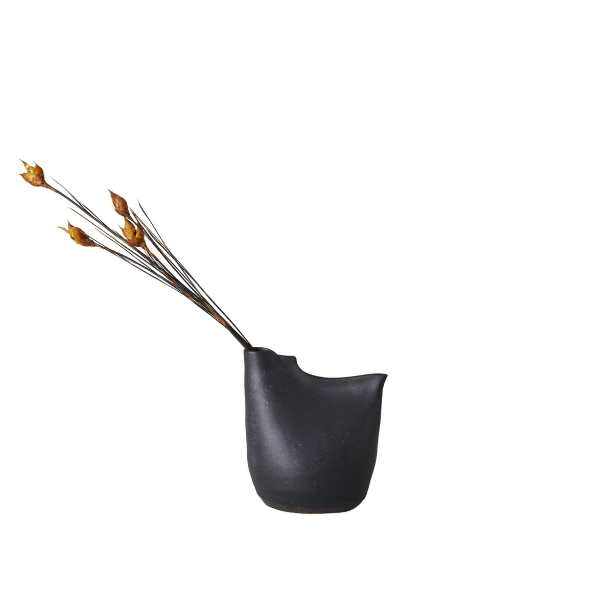 Bird Vase, Black