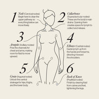 Lymphatic Drainage Dots