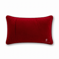 Expensive To Be Me Needlepoint Pillow
