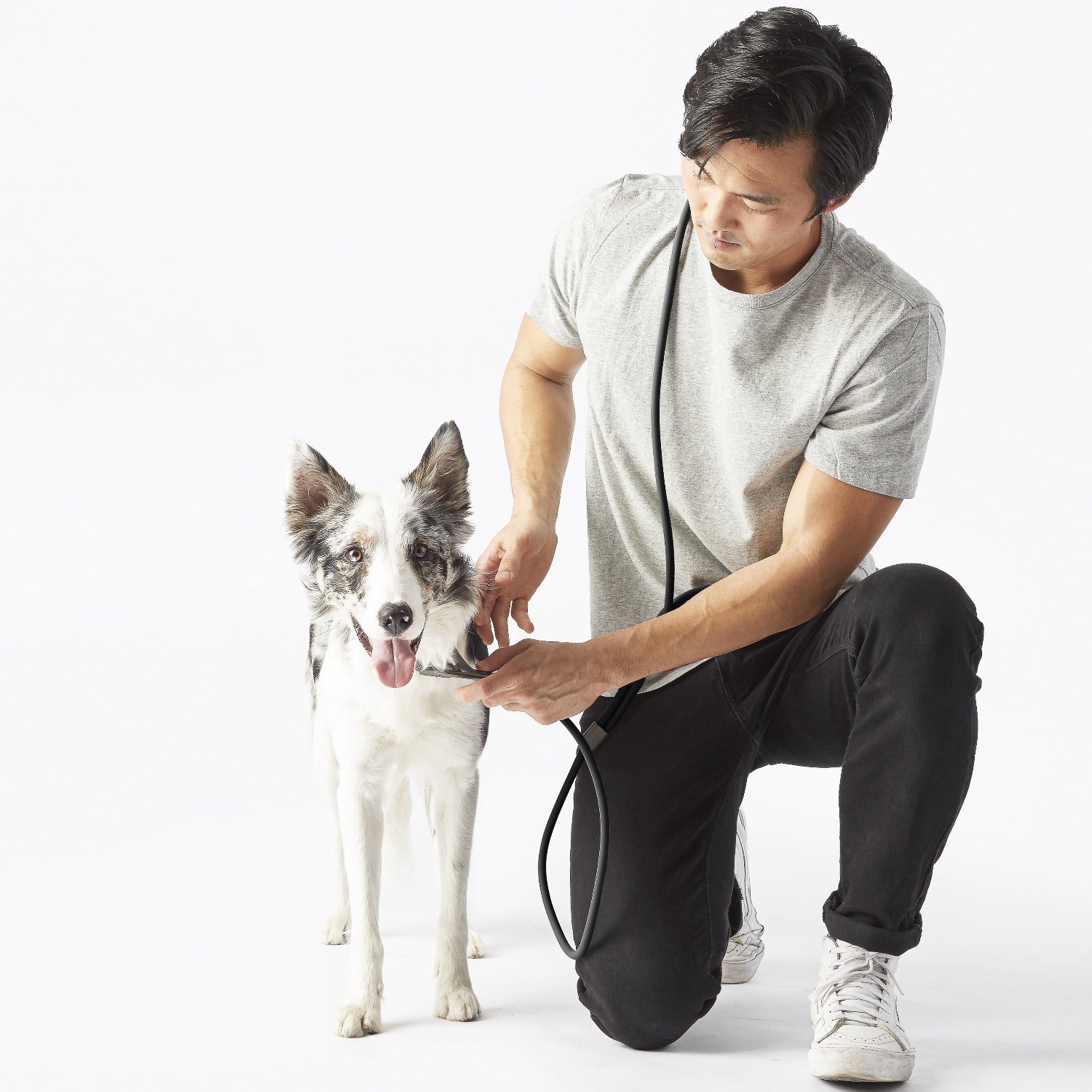 Magic Leash®