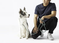 Magic Leash®