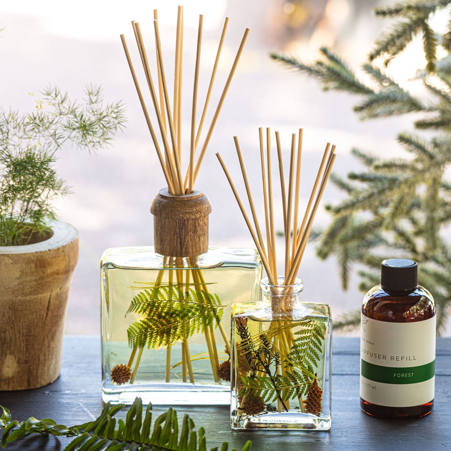 Forest 13 oz Botanical Diffuser