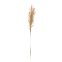 Faux Pampas Grass, Beige, Set of 2